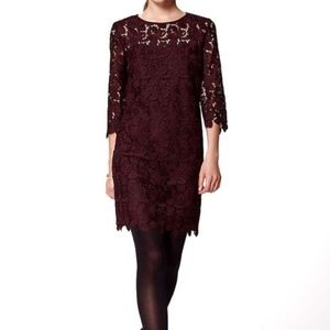 NWT Ann Taylor Loft dress